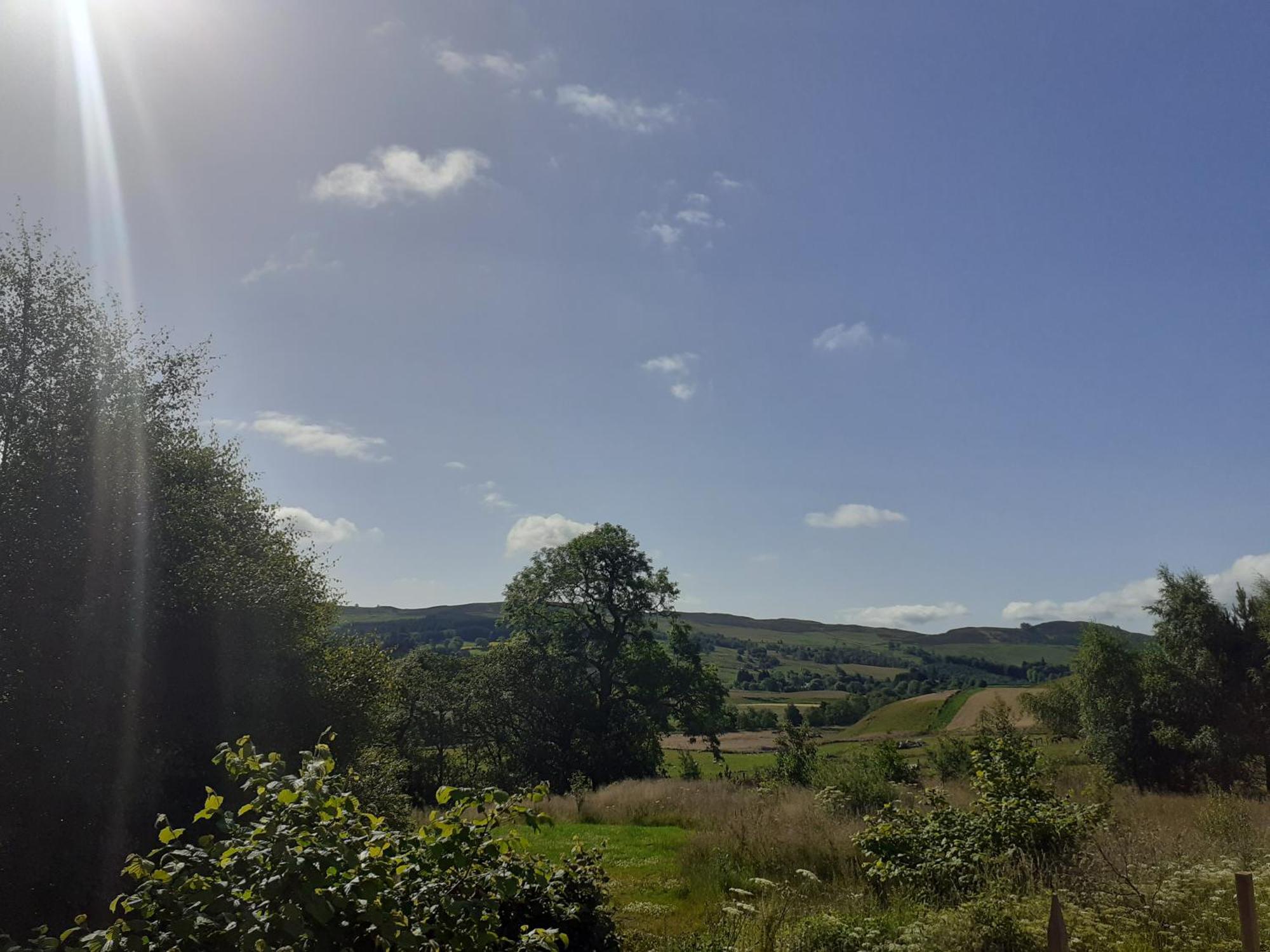 Dalnoid Cottages & Treehouses Nr Glenshee Exteriör bild