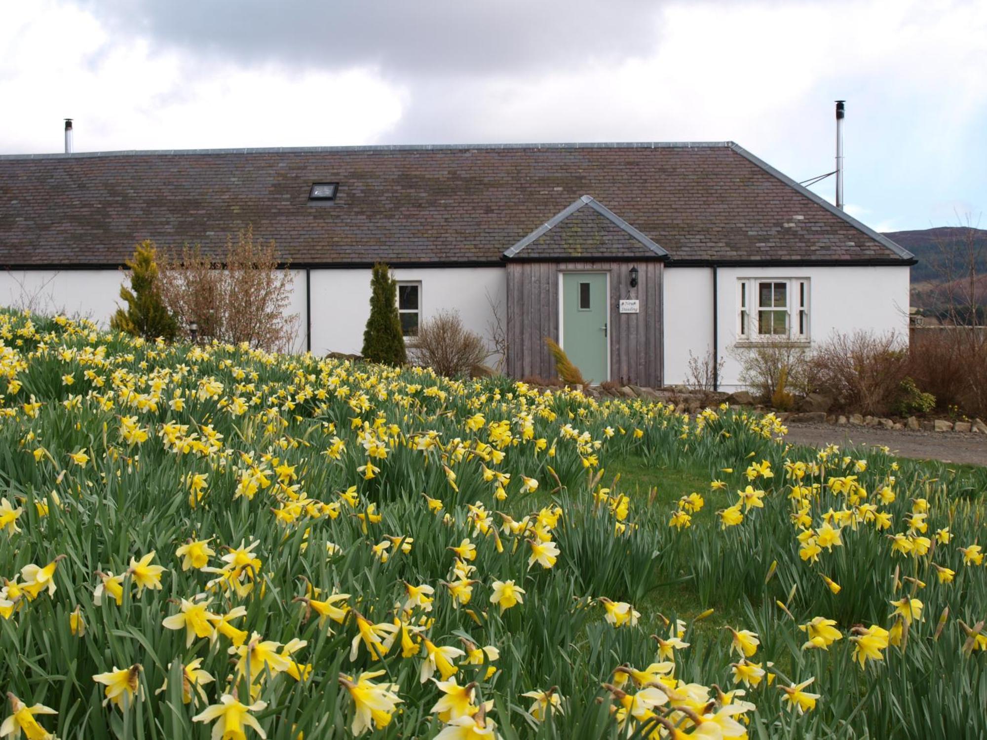 Dalnoid Cottages & Treehouses Nr Glenshee Exteriör bild