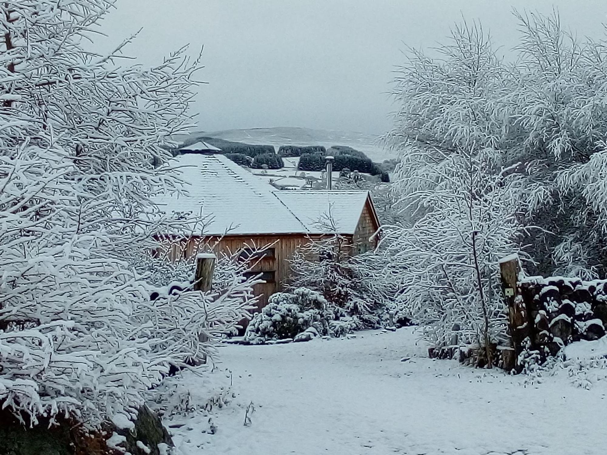 Dalnoid Cottages & Treehouses Nr Glenshee Exteriör bild